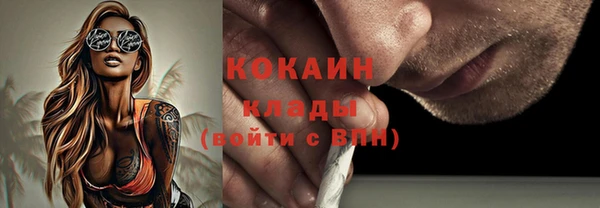 мдпв Майский