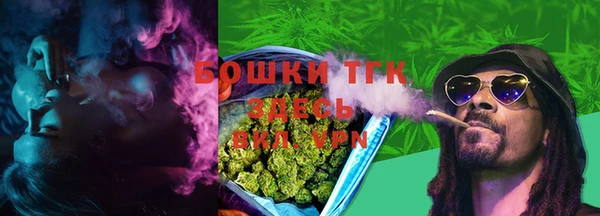 тгк Магас