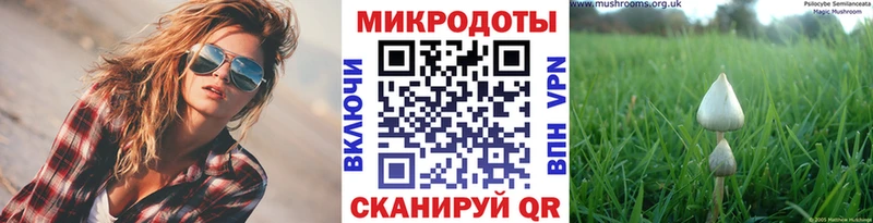 blacksprut ONION где найти Стерлитамак Псилоцибиновые грибы ЛСД