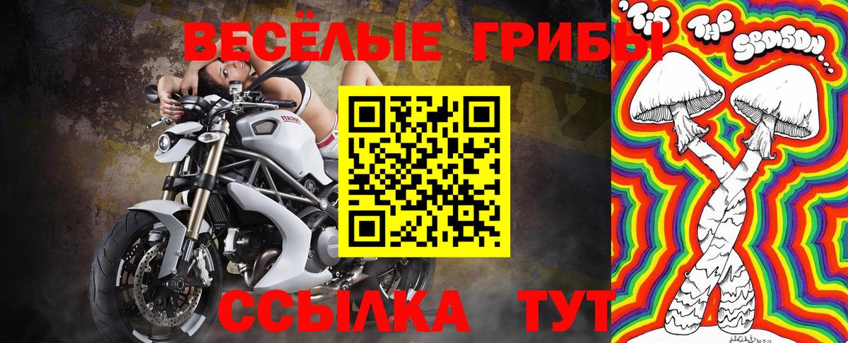 Галлюциногенные грибы мухоморы Стерлитамак